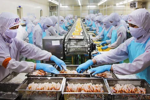 Tiêu chuẩn EU giúp thủy sản Việt nâng sức cạnh tranh