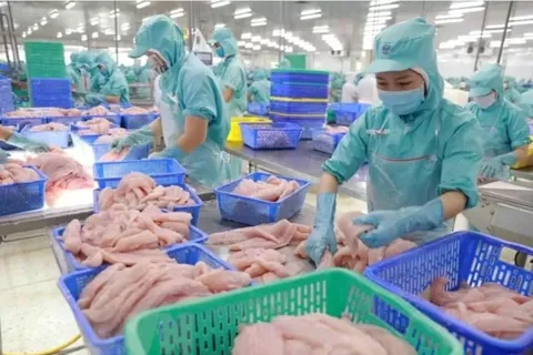 Xuất khẩu thủy sản đối diện thách thức mới