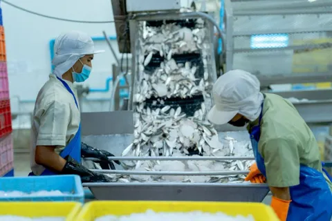 Liệu Việt Nam có gỡ được “thẻ vàng” IUU cho thủy sản trong năm 2025?