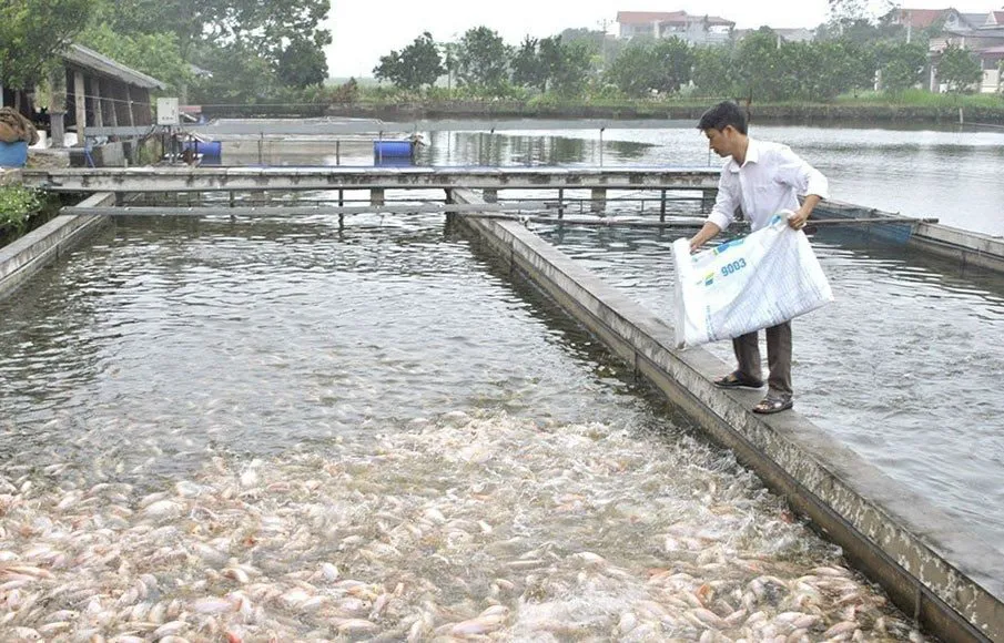 Hình ảnh 1