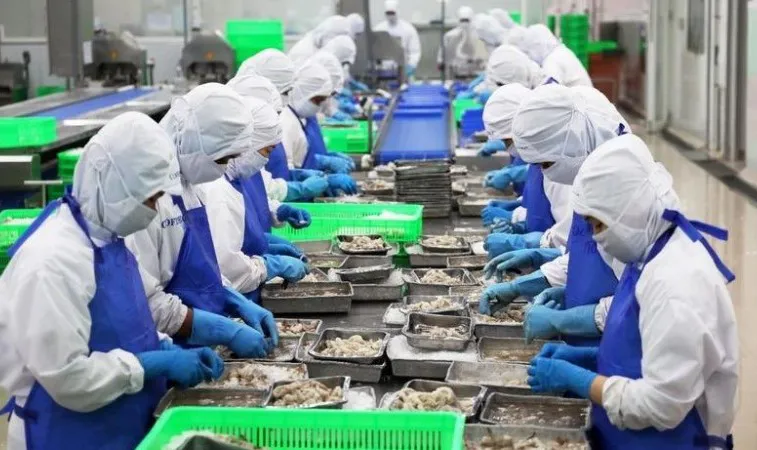 Xuất khẩu thủy sản tăng trưởng mạnh, kỳ vọng về đích 11 tỷ USD