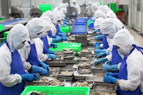 Xuất khẩu thủy sản tăng trưởng mạnh, kỳ vọng về đích 11 tỷ USD