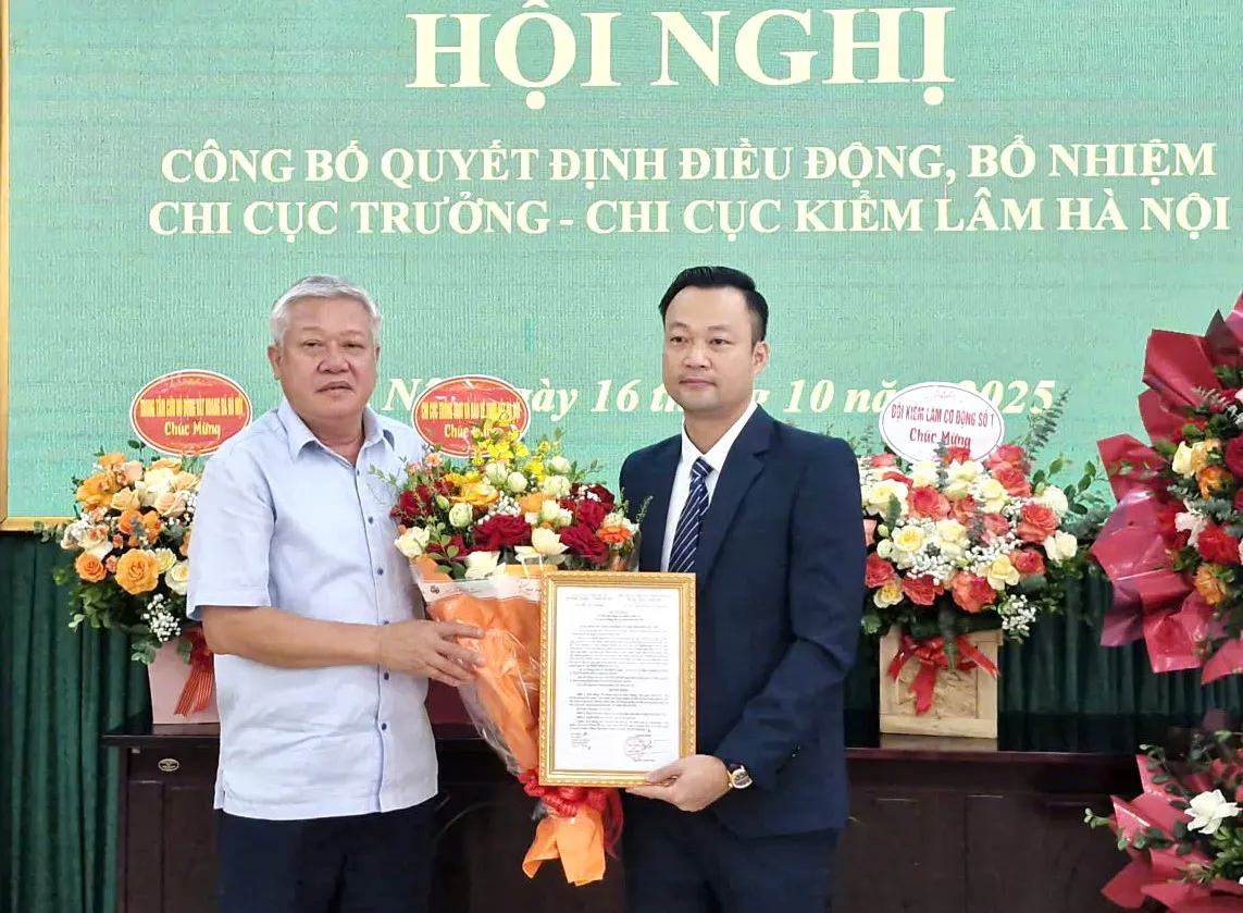 Hình ảnh 1