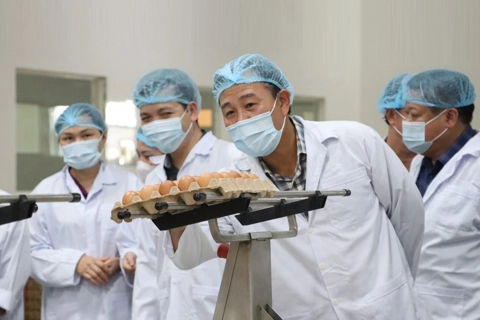Khoa học công nghệ là then chốt phát triển nông nghiệp hiện đại

