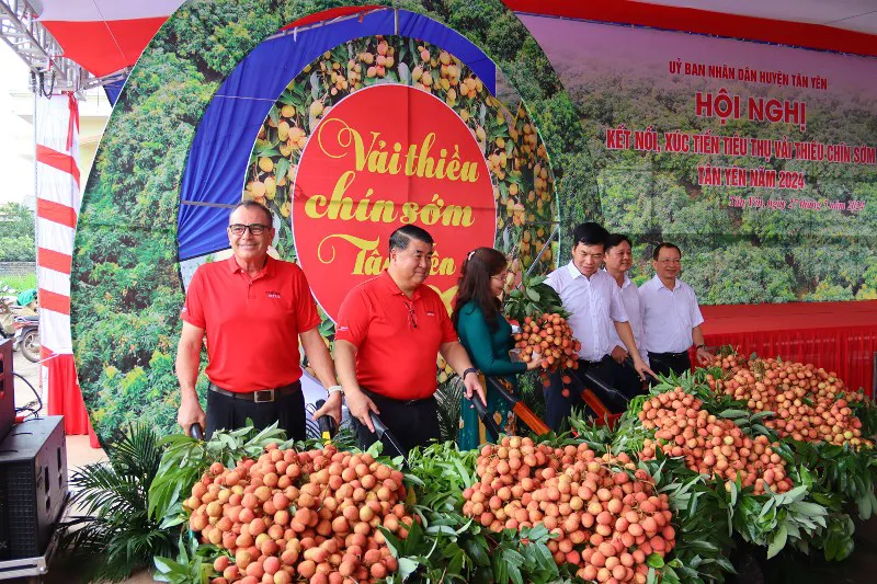 Hình ảnh 2