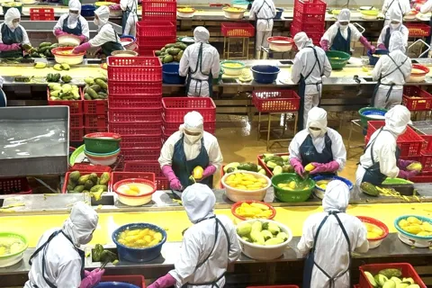 Hà Nội phấn đấu lọt top 5 bảng xếp hạng FTA Index
