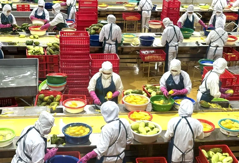 Nông nghiệp khẳng định vai trò “trụ đỡ” của nền kinh tế