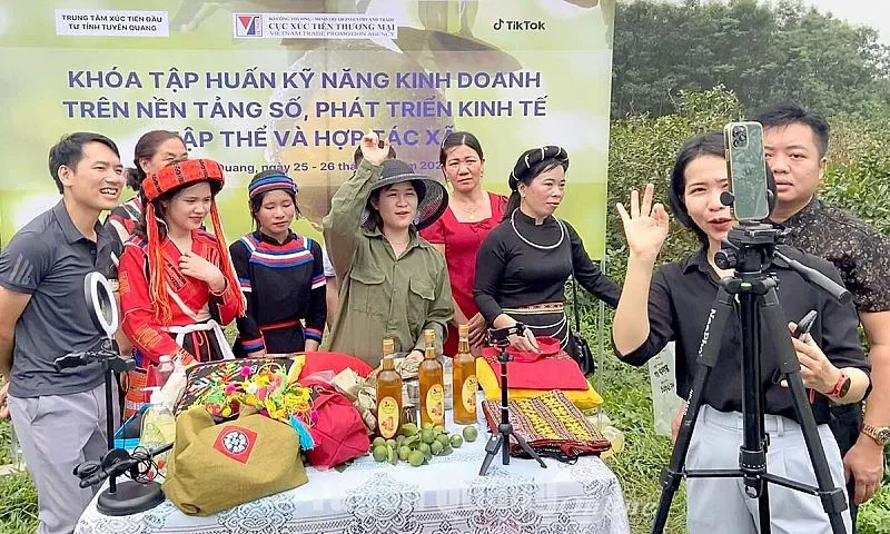 Hình ảnh 1