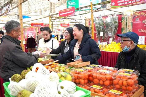 Nông sản sạch, hàng Việt chất lượng cao quy tụ tại Hội chợ Mùa Xuân 2026