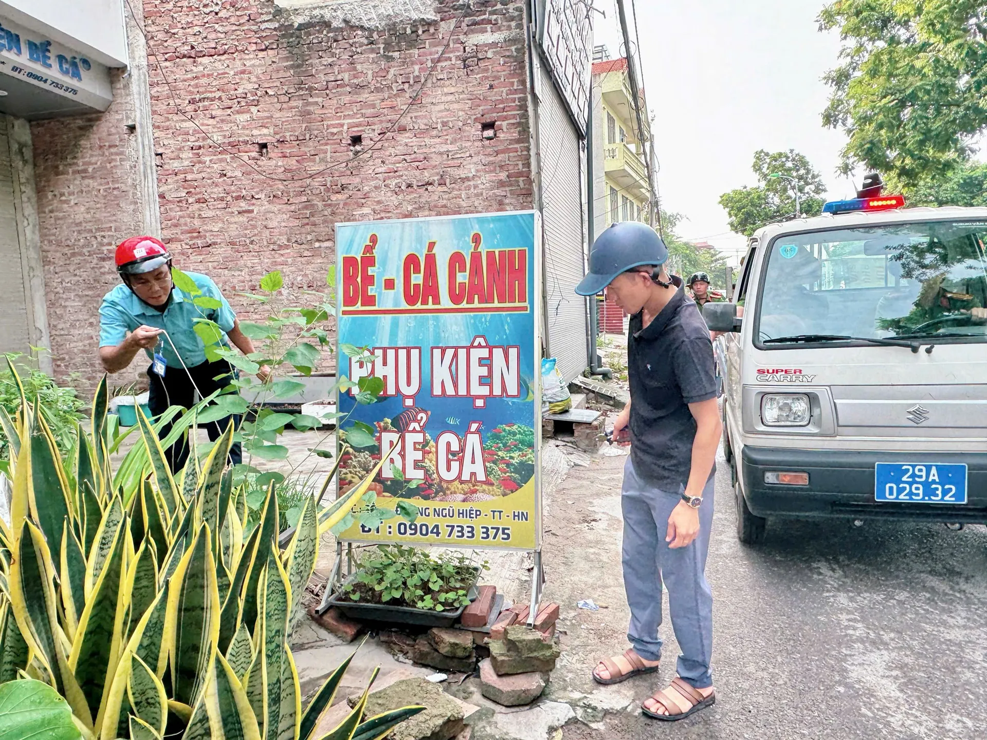 Hình ảnh 5