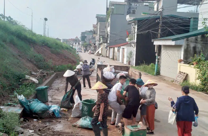 Hình ảnh 11