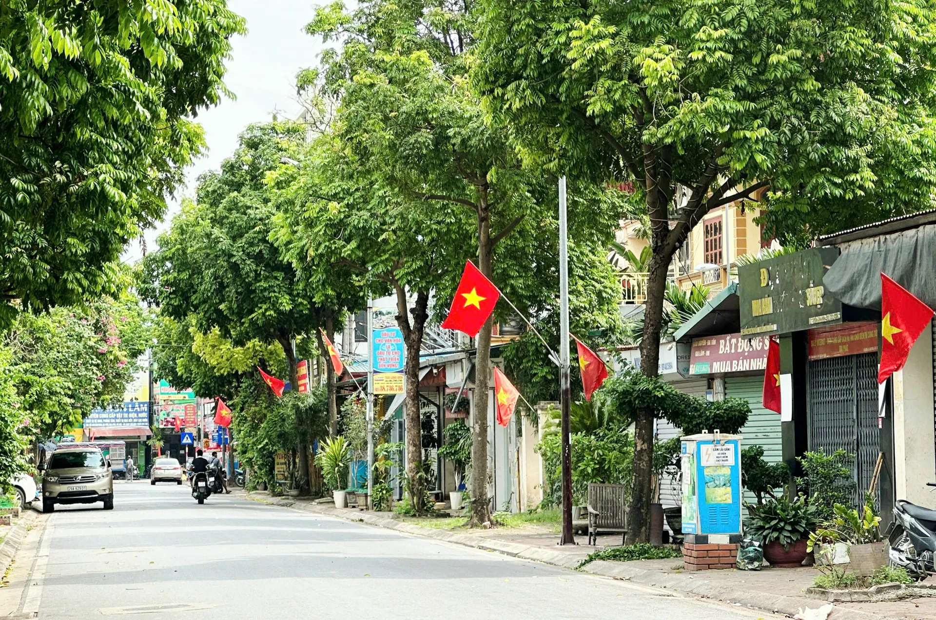 Hình ảnh 6