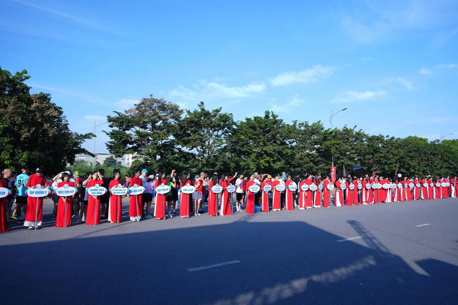 Hình ảnh 8