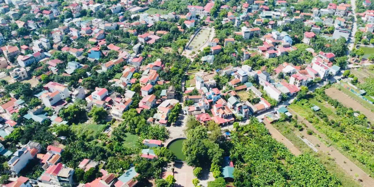Hình ảnh 3
