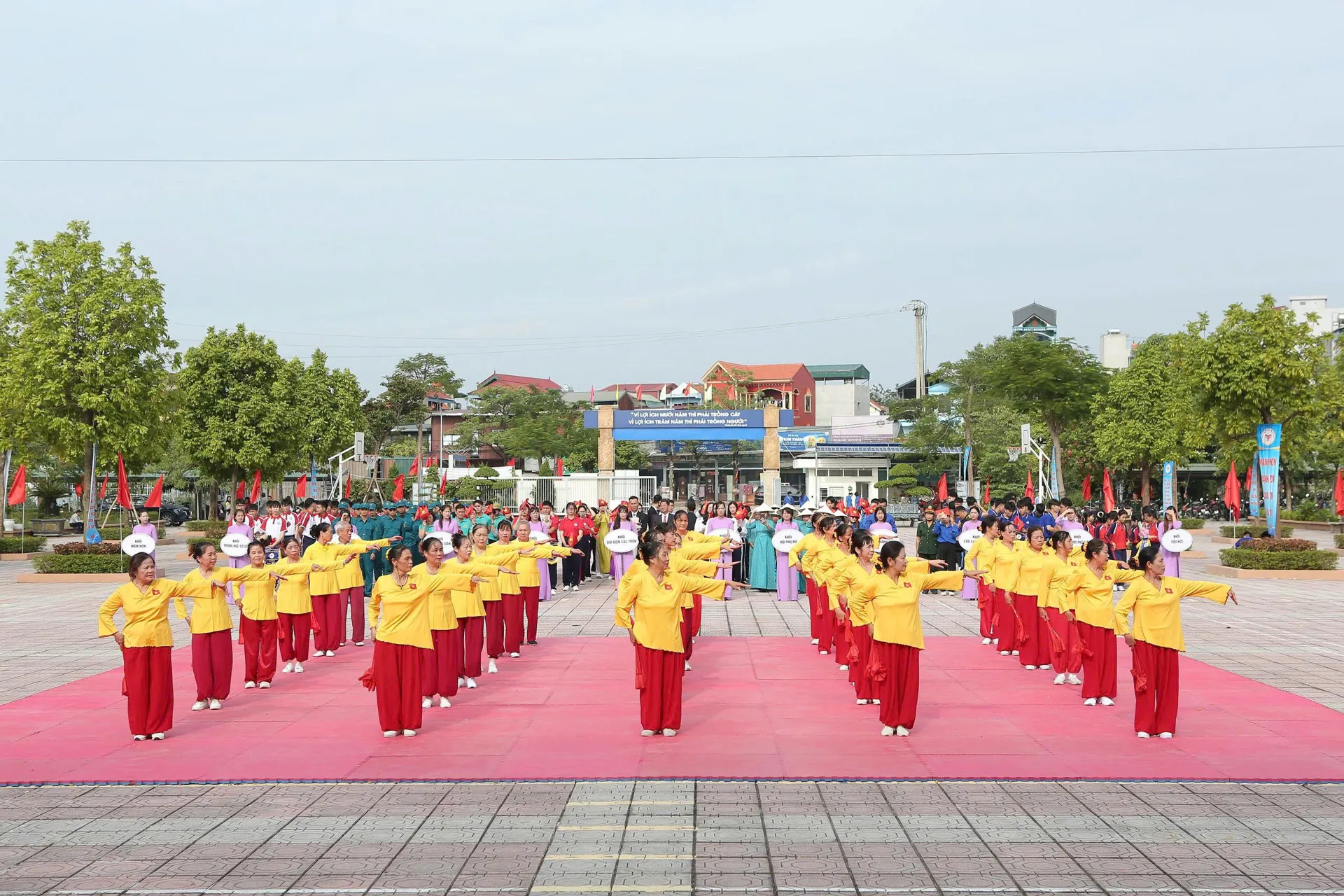 Hình ảnh 17