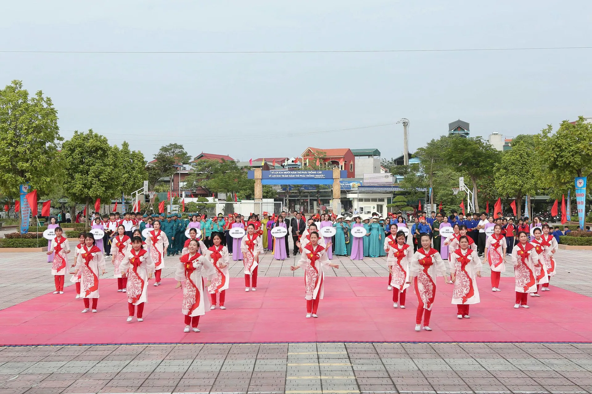 Hình ảnh 18