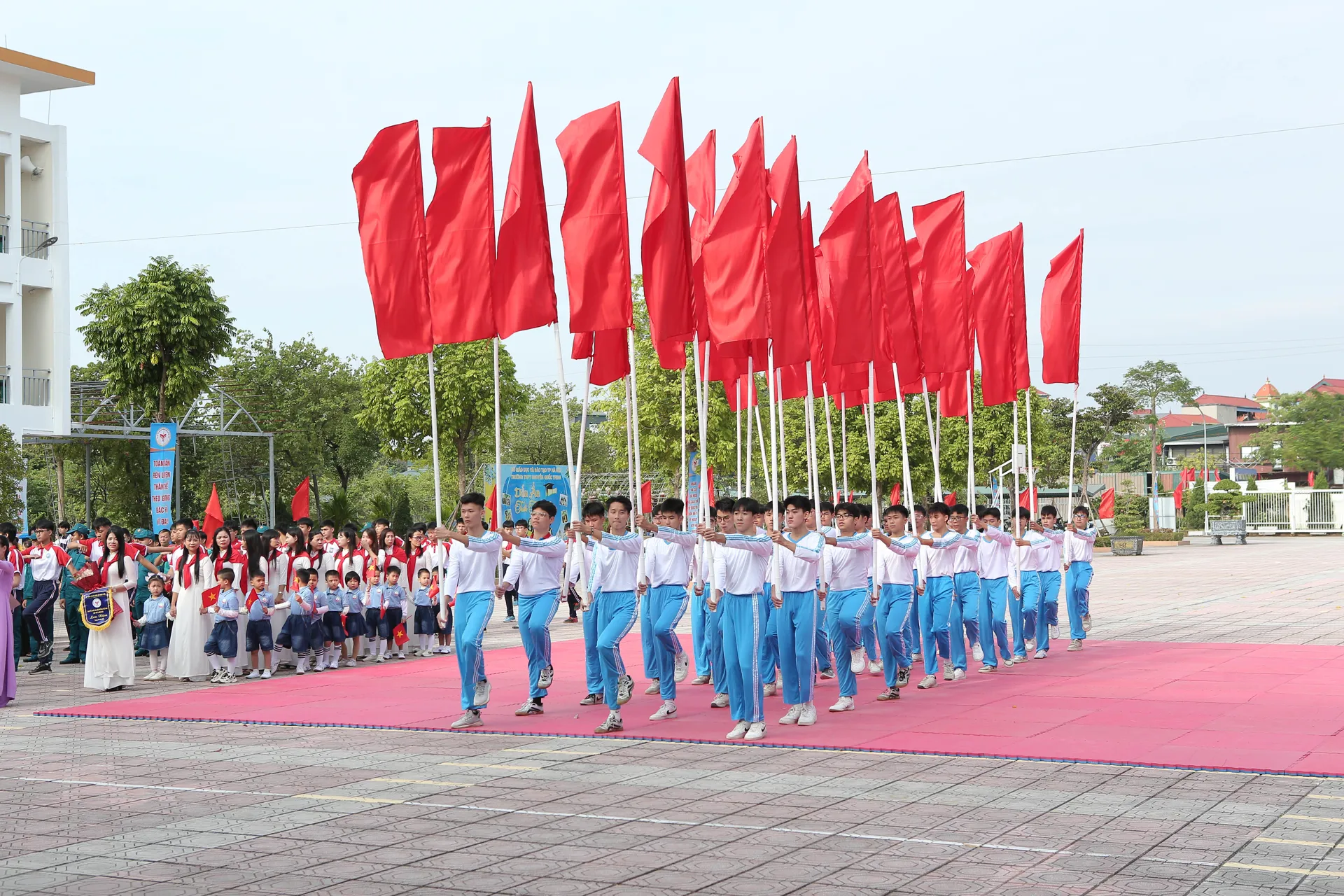 Hình ảnh 7