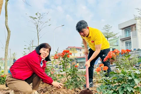 Nam Phù lan tỏa khí thế mừng Đảng – mừng Xuân Bính Ngọ 2026 từ những việc làm thiết thực