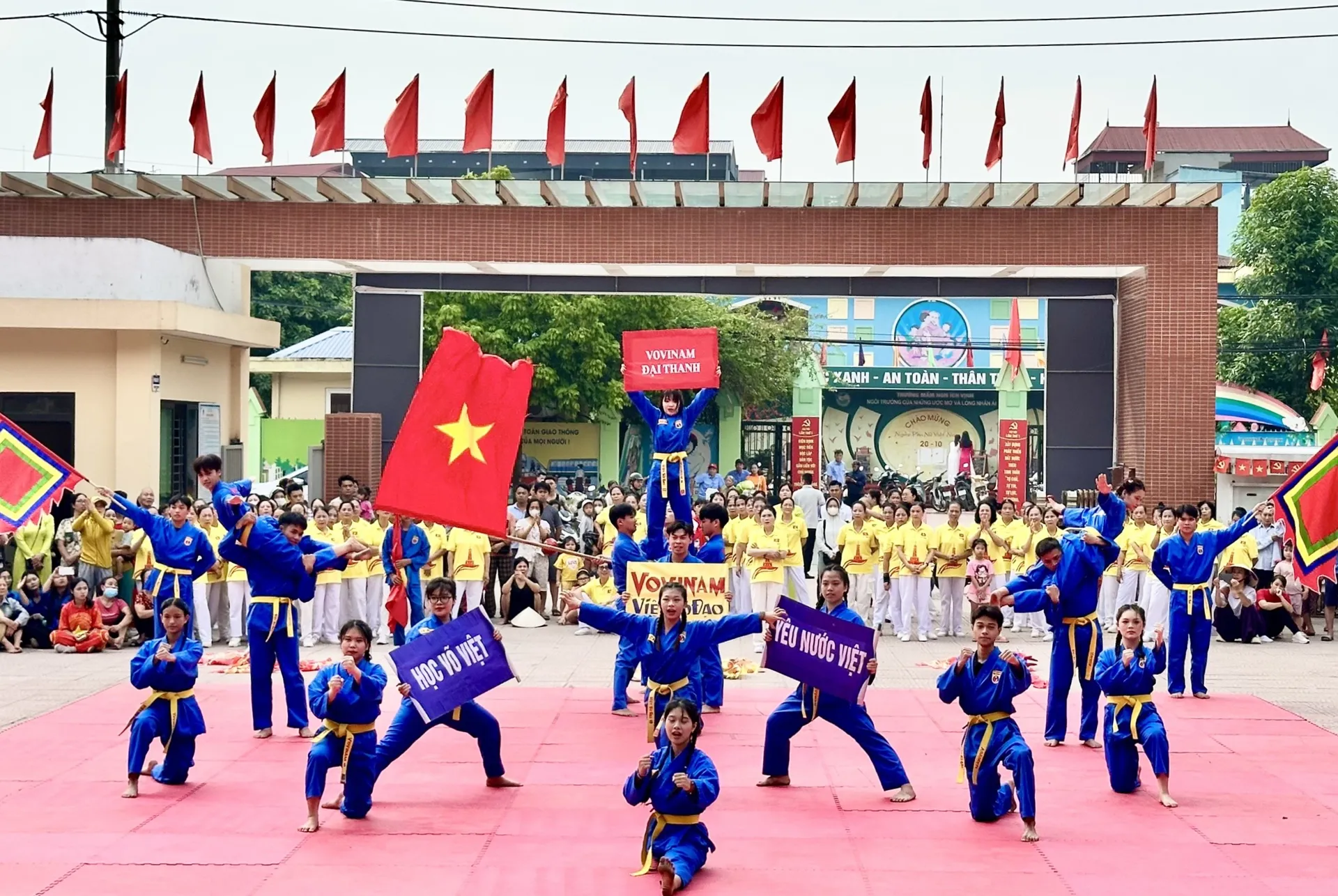 Hình ảnh 17