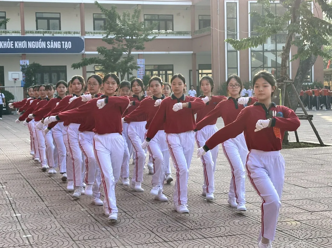 Hình ảnh 9