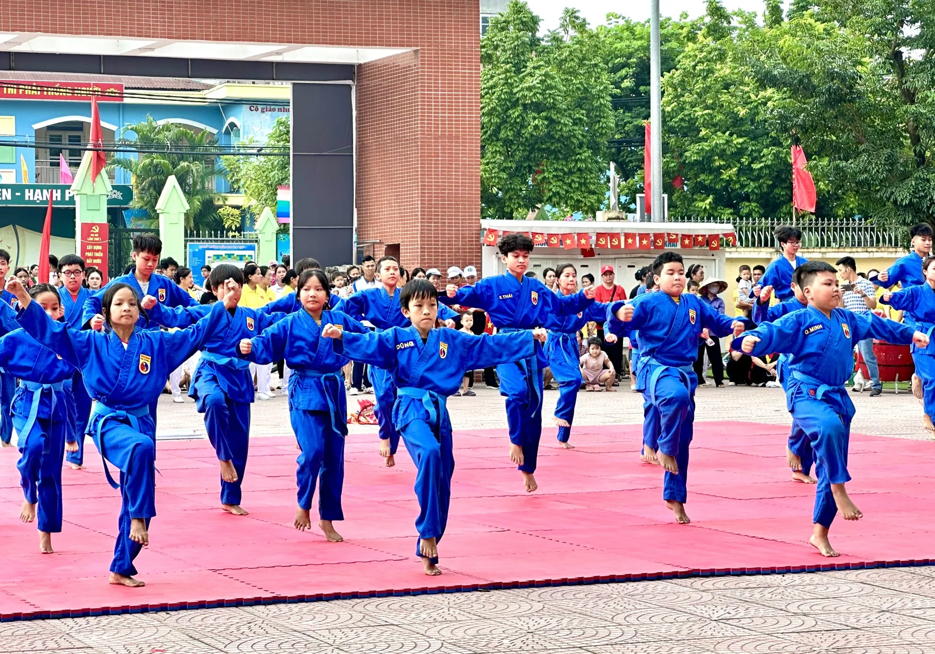 Hình ảnh 20