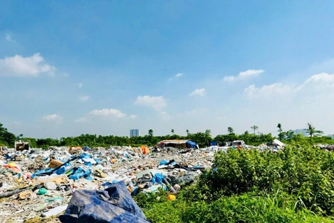 Xã Thanh Trì: xử lý dứt điểm vi phạm trên đất nông nghiệp tại khu Tây làng (xã Yên Mỹ cũ)