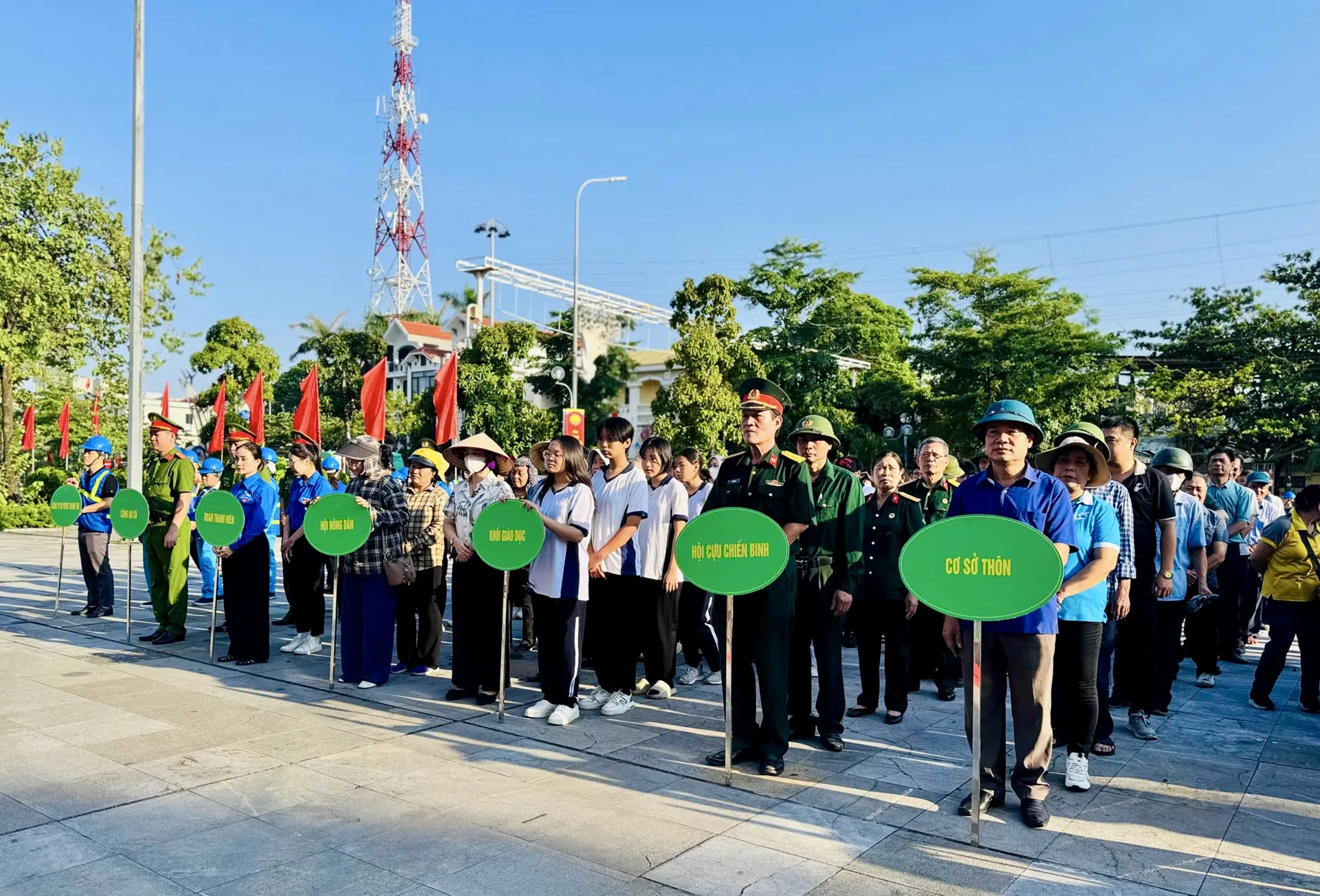 Hình ảnh 3