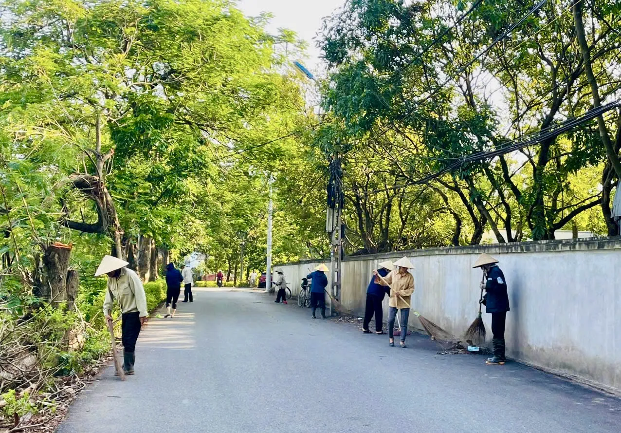 Hình ảnh 14