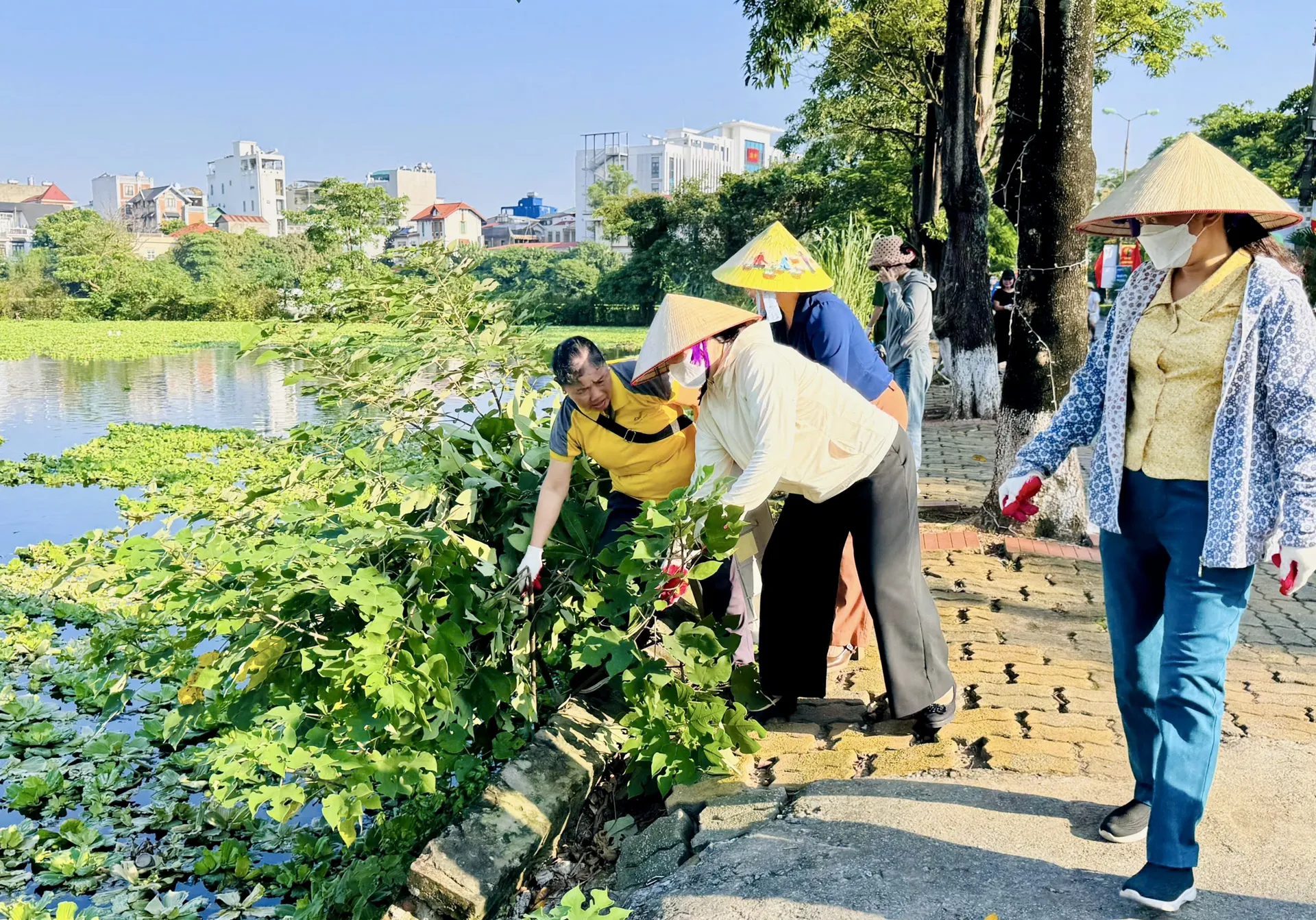 Hình ảnh 7