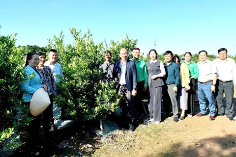 Đa dạng mô hình kinh tế theo định hướng du lịch nông nghiệp – làng nghề tại xã Nam Phù