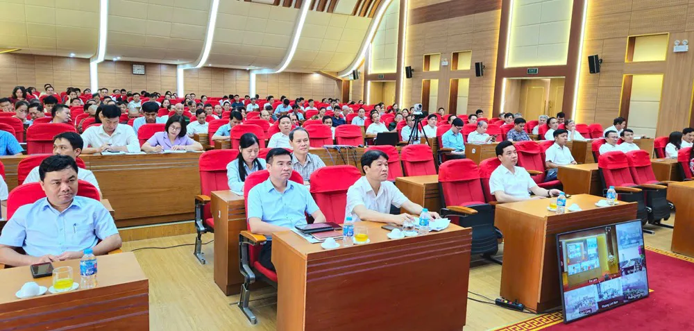 Hình ảnh 2