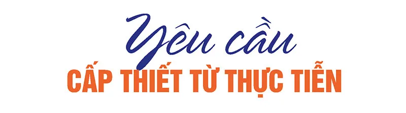 Hình ảnh 7