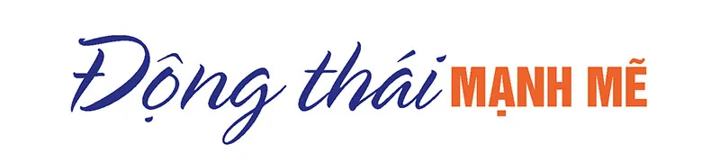 Hình ảnh 7