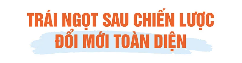 Hình ảnh 2
