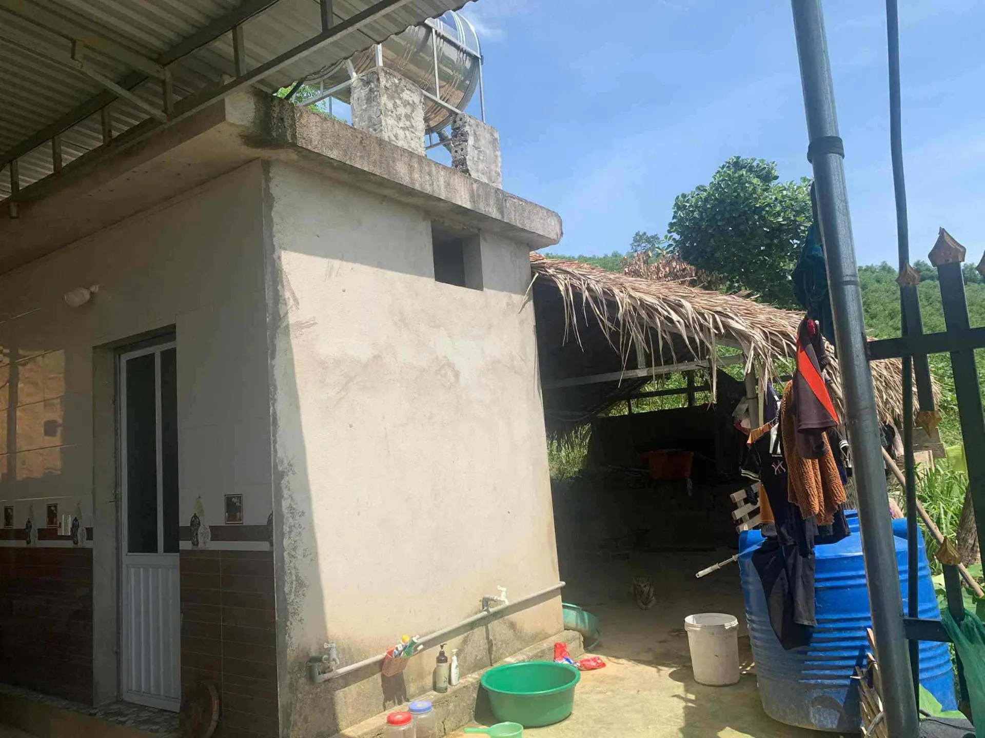 Hình ảnh 2