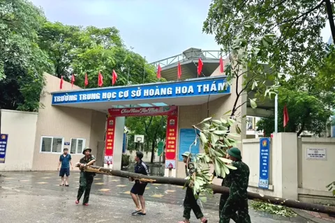 Hà Nội rà soát hệ thống cây xanh trong khuôn viên trường học, ứng phó với bão Ragasa