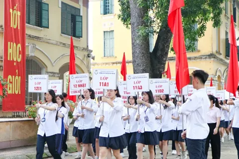 Chương trình nâng cao môn chuyên: lộ trình bài bản cho công tác đào tạo mũi nhọn