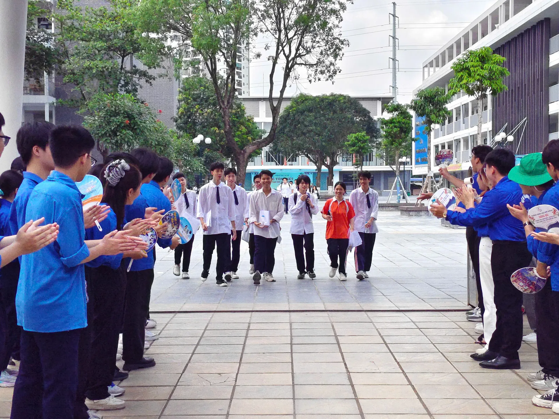 Hình ảnh 12