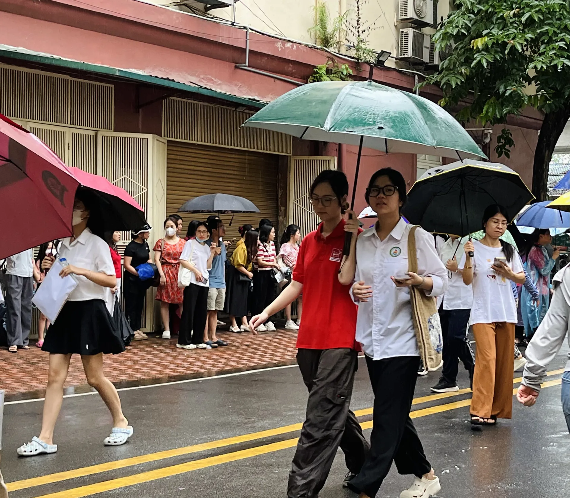 Hình ảnh 10
