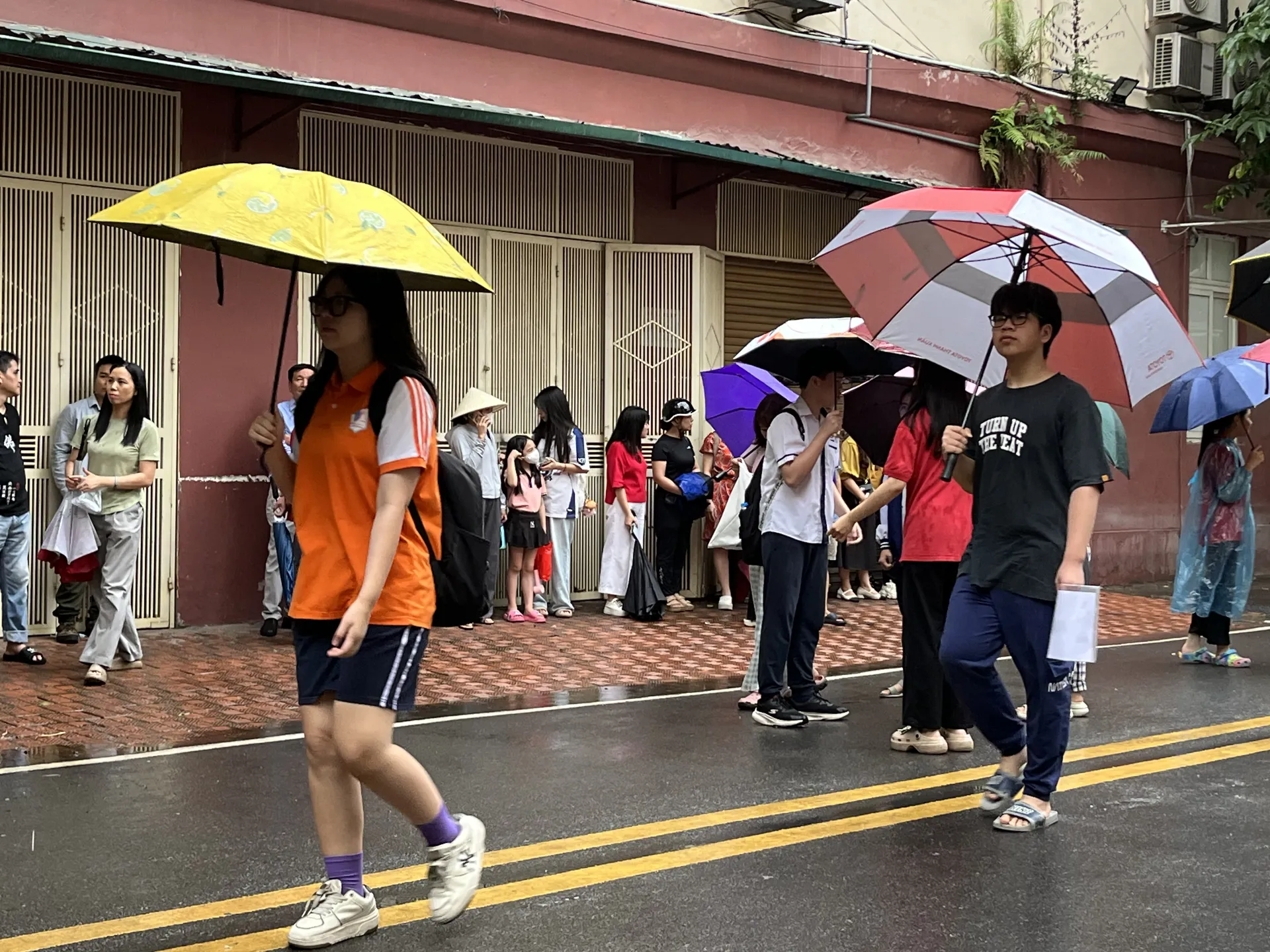 Hình ảnh 12