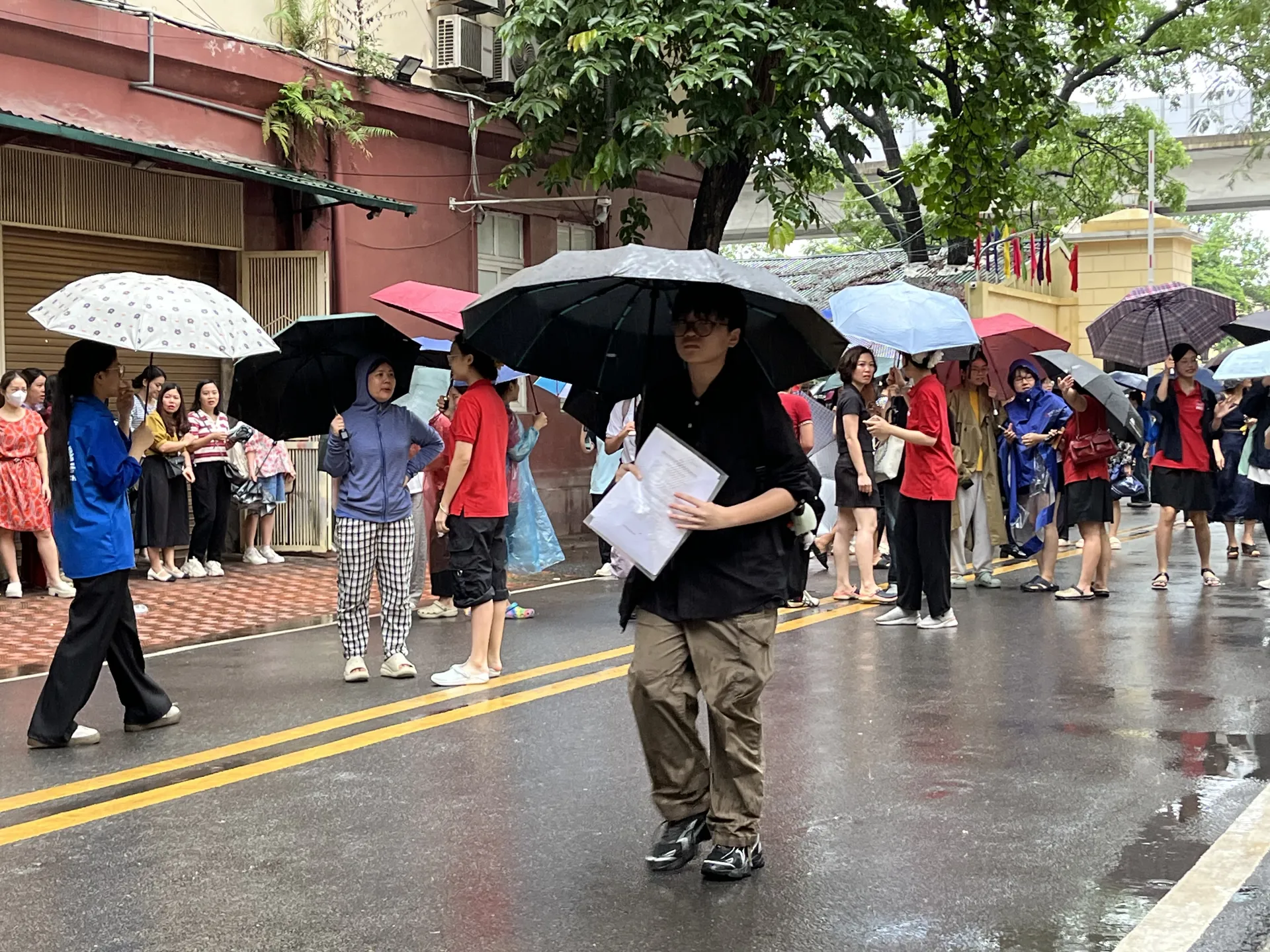 Hình ảnh 13