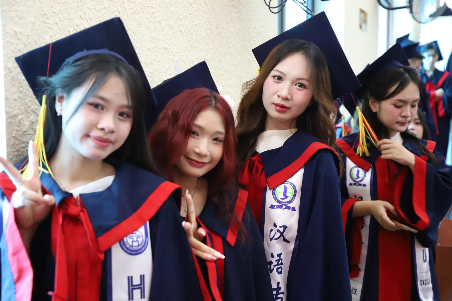 Hình ảnh 2