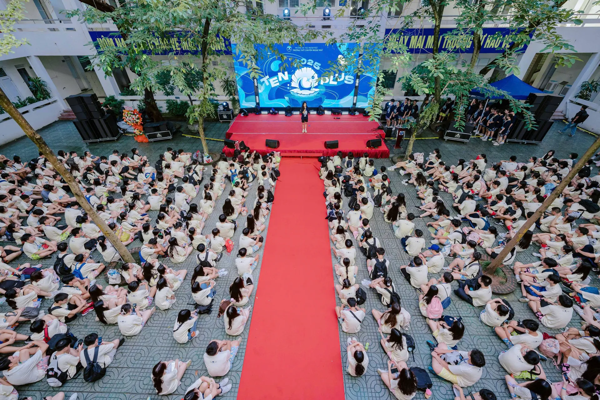 Hình ảnh 2