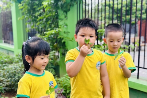 Hà Nội thực hiện nhiều giải pháp tăng quy mô và chất lượng tuyển sinh
