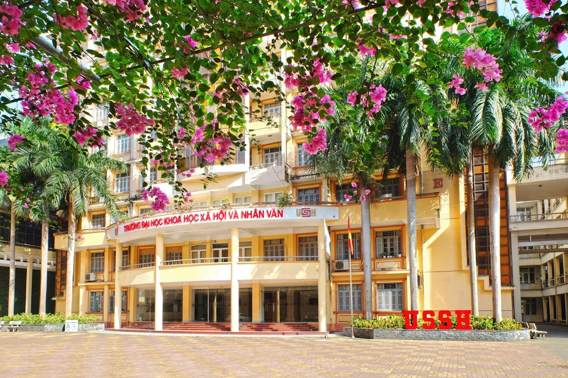 Hình ảnh 1