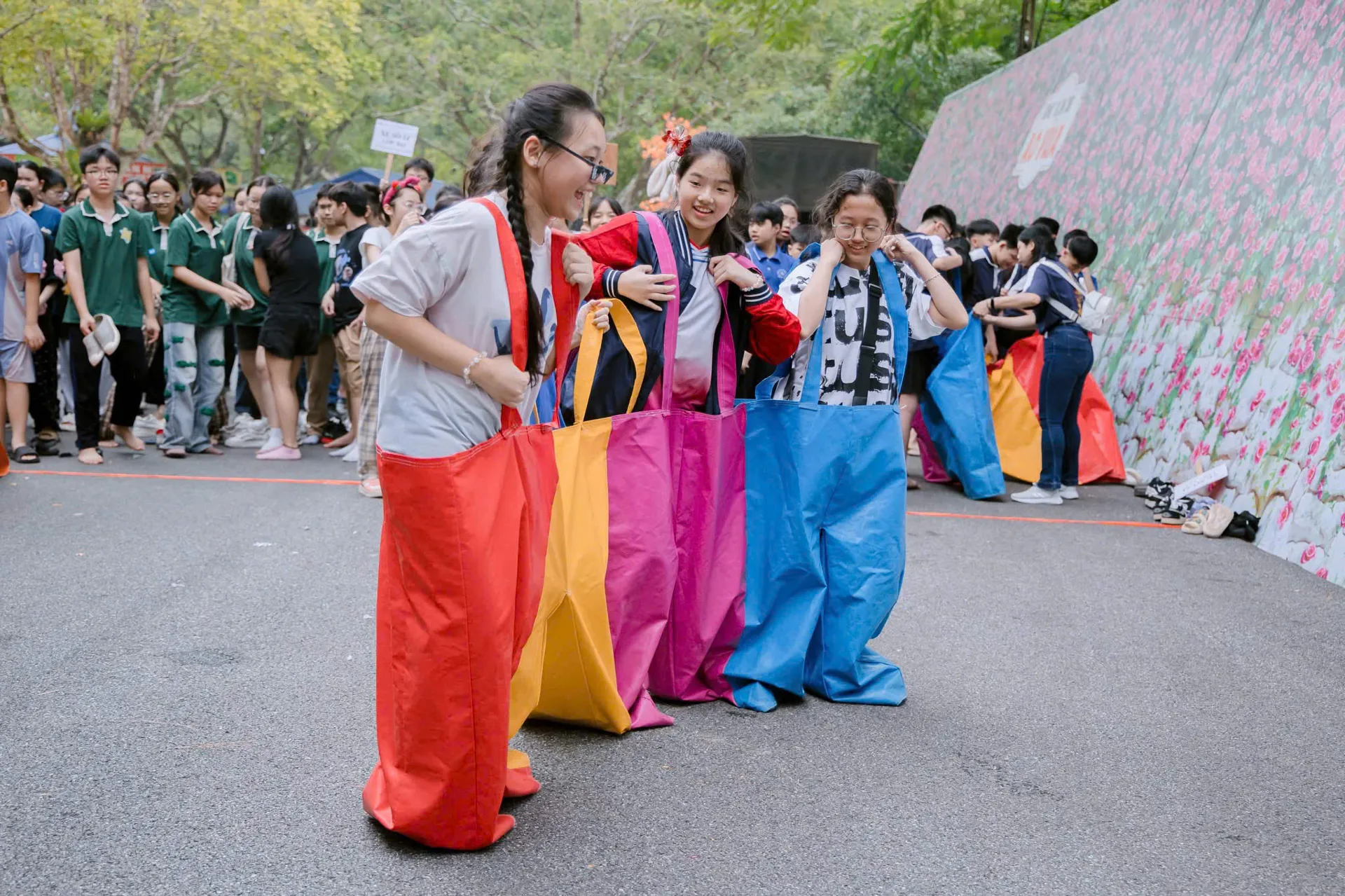 Hình ảnh 2