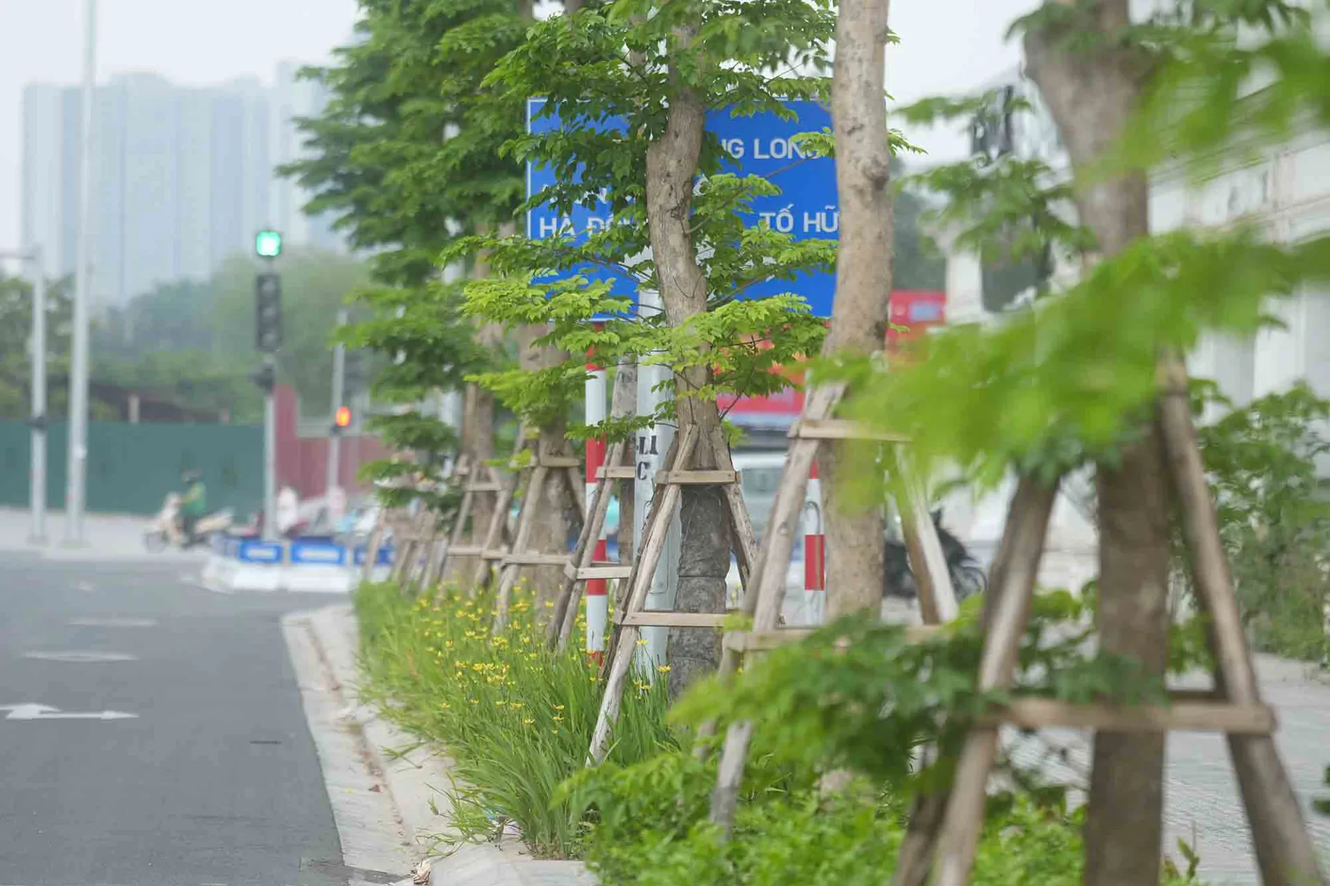 Hình ảnh 1