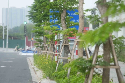 Hà Nội: Nỗ lực hạn chế tai nạn do bất cập từ biển báo, hạ tầng giao thông
