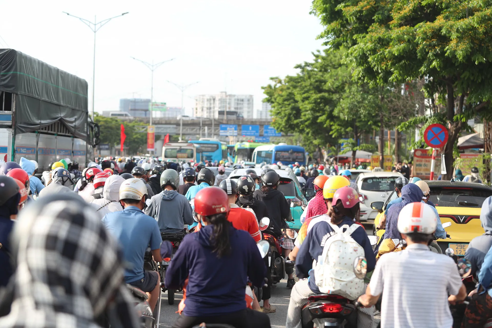 Hình ảnh 3