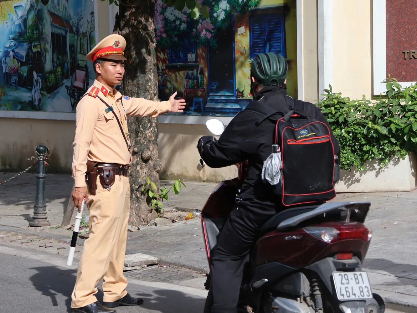Hình ảnh 1